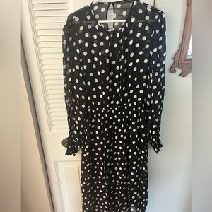 Zara Women’s XL Sheer Polka Dot Midi